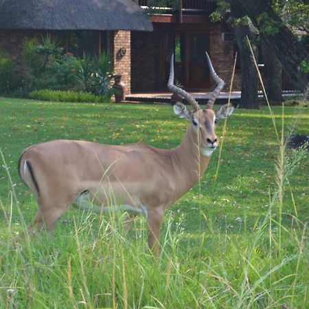 Kruger Park Lodge - Golf Safari SA Hazyview Eksteriør billede