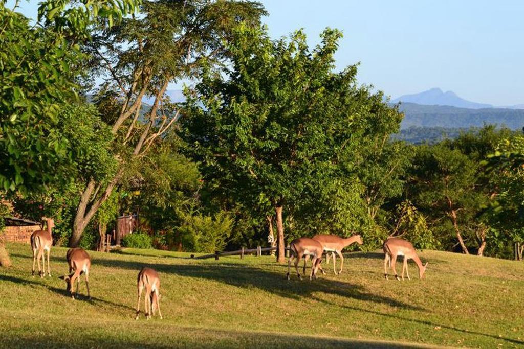 Kruger Park Lodge - Golf Safari SA Hazyview Eksteriør billede