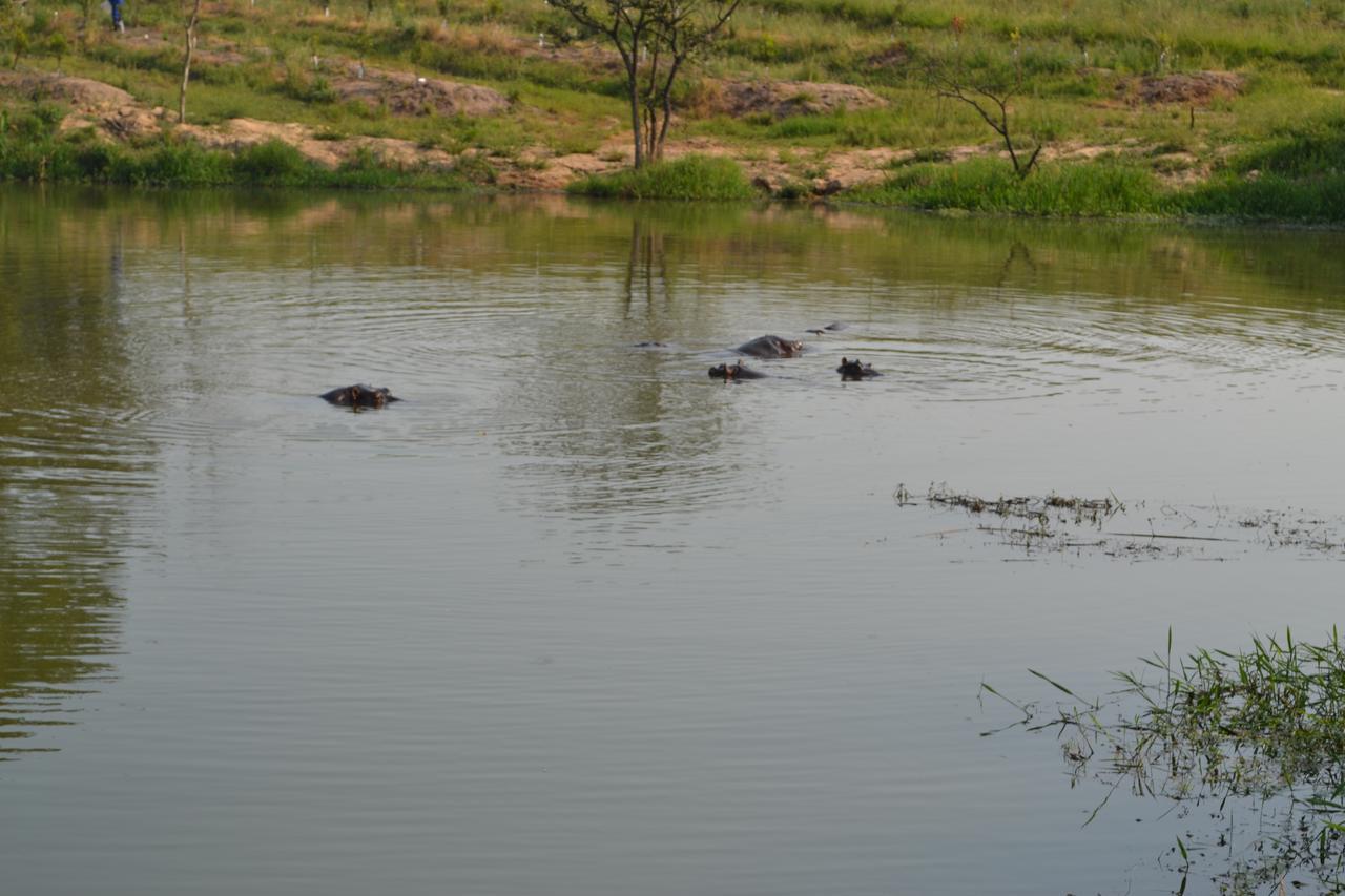 Kruger Park Lodge - Golf Safari SA Hazyview Eksteriør billede