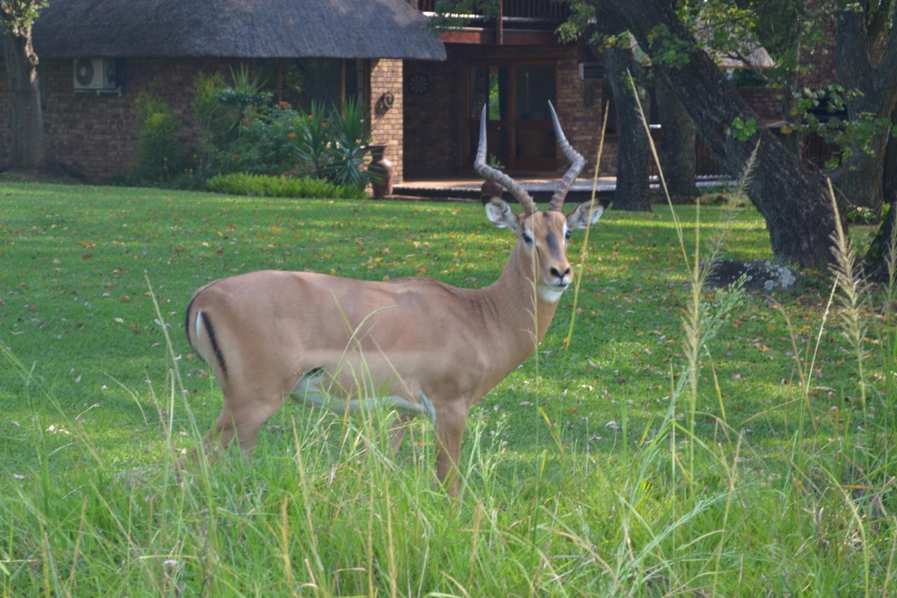 Kruger Park Lodge - Golf Safari SA Hazyview Eksteriør billede