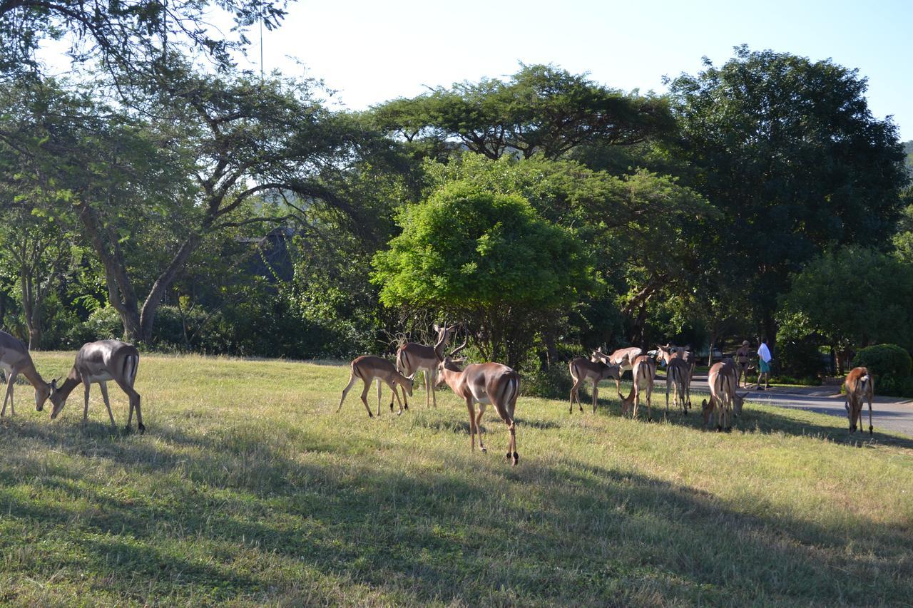 Kruger Park Lodge - Golf Safari SA Hazyview Eksteriør billede