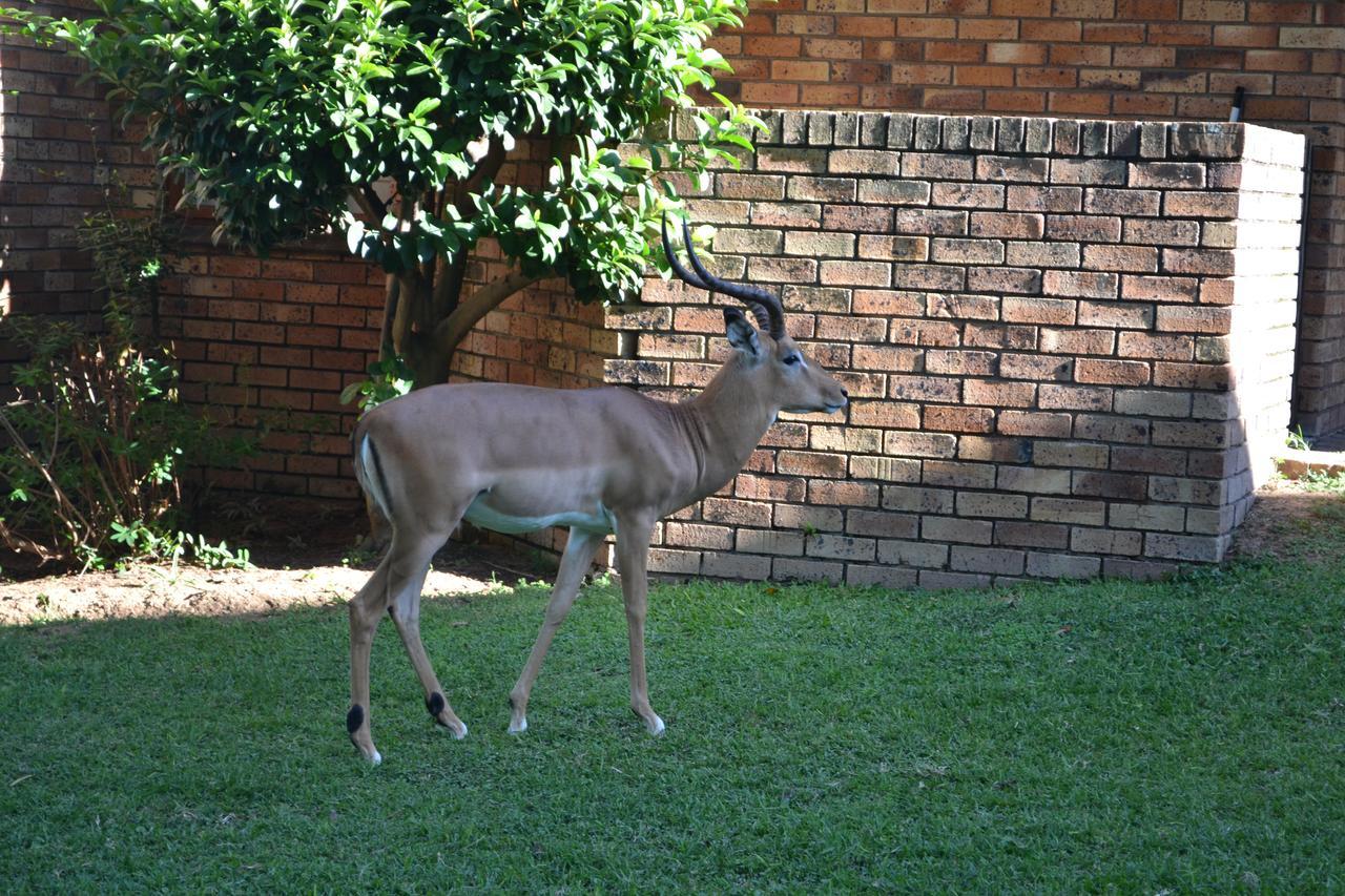 Kruger Park Lodge - Golf Safari SA Hazyview Eksteriør billede